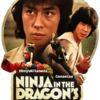 Ninja in the Dragon's Den (1982 film)